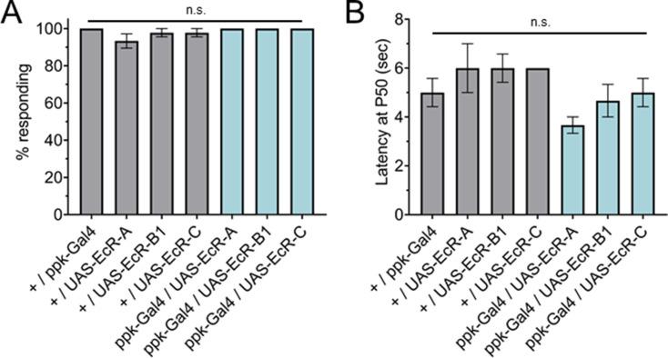 https://cdn.ncbi.nlm.nih.gov/pmc/blobs/486e/8967384/478520eaeb62/elife-76464-fig4-figsupp2.jpg