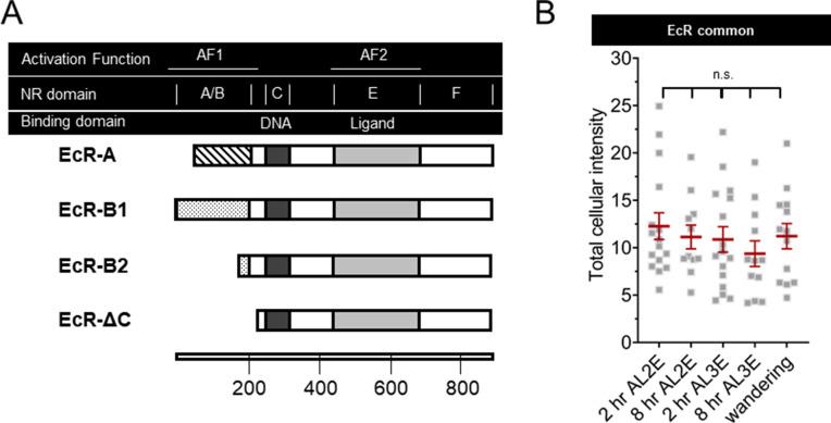 https://cdn.ncbi.nlm.nih.gov/pmc/blobs/486e/8967384/abac18ac3bcf/elife-76464-fig2-figsupp1.jpg