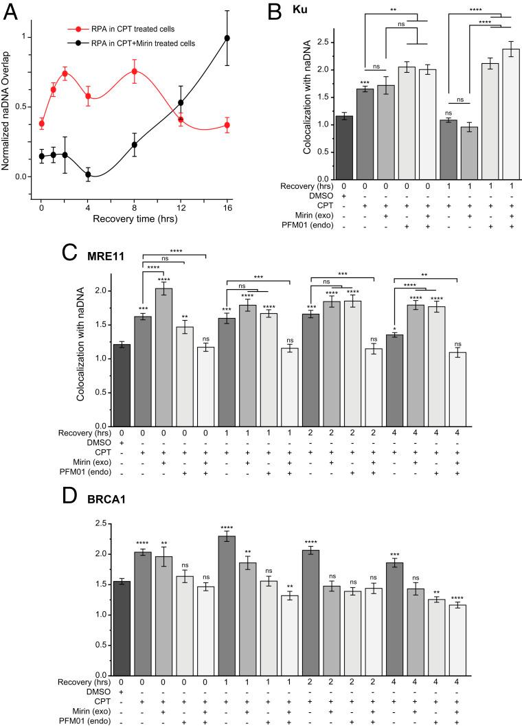 https://cdn.ncbi.nlm.nih.gov/pmc/blobs/4897/7980414/57f88e9a424f/pnas.2021963118fig06.jpg