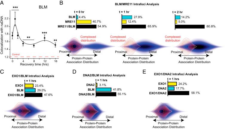 https://cdn.ncbi.nlm.nih.gov/pmc/blobs/4897/7980414/6299ce77807f/pnas.2021963118fig05.jpg