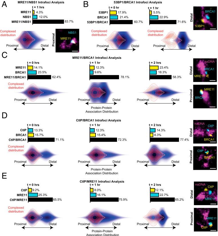 https://cdn.ncbi.nlm.nih.gov/pmc/blobs/4897/7980414/bc656457cb3b/pnas.2021963118fig04.jpg