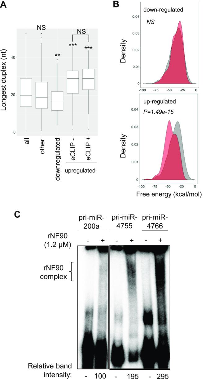 https://cdn.ncbi.nlm.nih.gov/pmc/blobs/489b/7337520/4b50ddf81ba8/gkaa386fig7.jpg