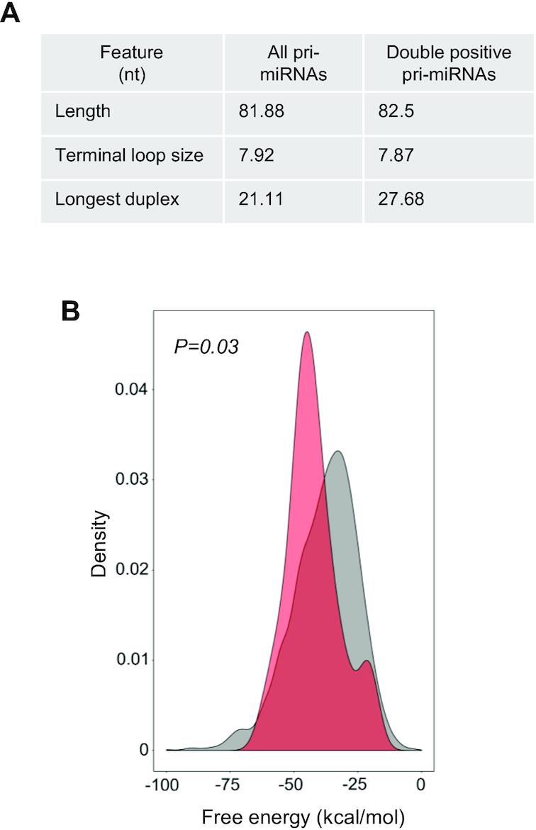 https://cdn.ncbi.nlm.nih.gov/pmc/blobs/489b/7337520/8ee3a0e6fbaa/gkaa386fig5.jpg