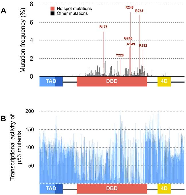 https://cdn.ncbi.nlm.nih.gov/pmc/blobs/48aa/5593689/81fc330f0659/oncotarget-08-57855-g004.jpg