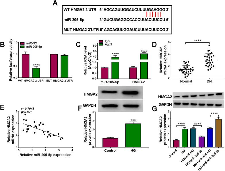 https://cdn.ncbi.nlm.nih.gov/pmc/blobs/48c1/8236153/17c1d42fcddb/13098_2021_692_Fig5_HTML.jpg