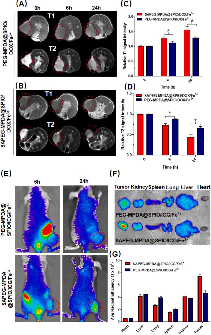 https://cdn.ncbi.nlm.nih.gov/pmc/blobs/48c6/7658445/935678b482cd/gr4.jpg