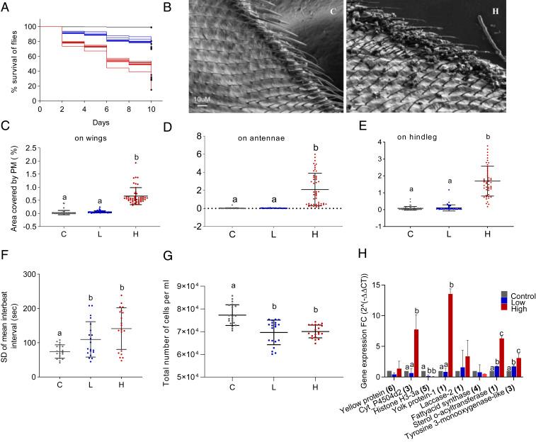 https://cdn.ncbi.nlm.nih.gov/pmc/blobs/48cc/7456092/b9030ae83e54/pnas.2009074117fig04.jpg
