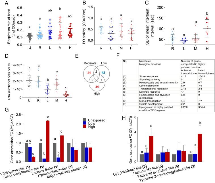 https://cdn.ncbi.nlm.nih.gov/pmc/blobs/48cc/7456092/fe4b5d2b7eec/pnas.2009074117fig03.jpg