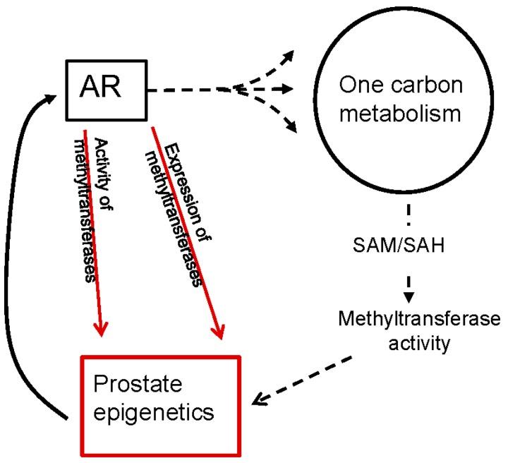 https://cdn.ncbi.nlm.nih.gov/pmc/blobs/4901/5000606/8cb0460cb087/ijms-17-01208-g003.jpg
