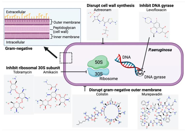 https://cdn.ncbi.nlm.nih.gov/pmc/blobs/4910/10044129/550cb250826c/antibiotics-12-00484-g004.jpg