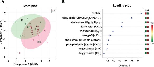 https://cdn.ncbi.nlm.nih.gov/pmc/blobs/4915/9875807/53fad497eae9/fonc-12-1110104-g006.jpg
