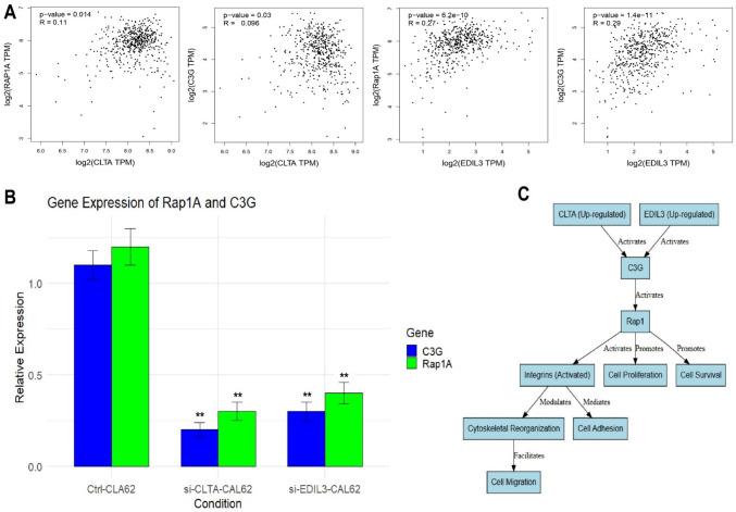 https://cdn.ncbi.nlm.nih.gov/pmc/blobs/491c/12081531/c45093821bb4/10238_2025_1689_Fig11_HTML.jpg