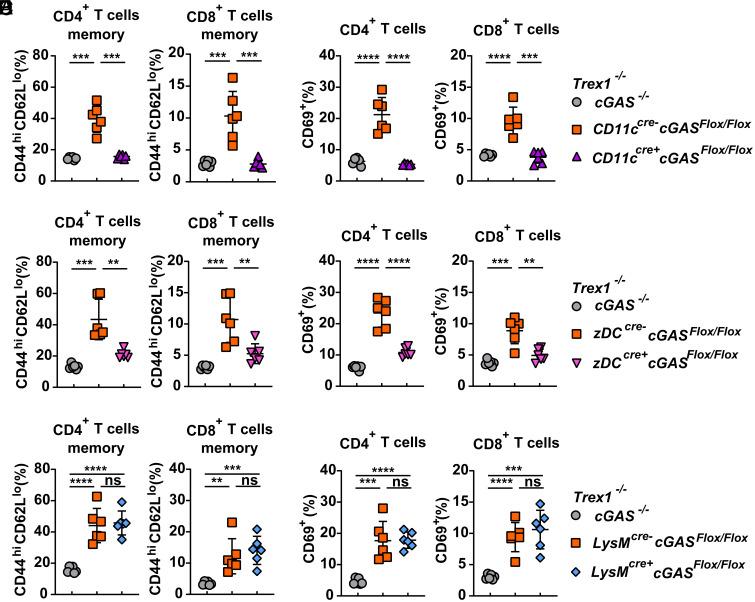 https://cdn.ncbi.nlm.nih.gov/pmc/blobs/4928/11420187/1e763637a1ea/pnas.2411747121fig03.jpg