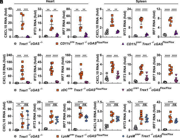https://cdn.ncbi.nlm.nih.gov/pmc/blobs/4928/11420187/2be61a2a8a08/pnas.2411747121fig02.jpg