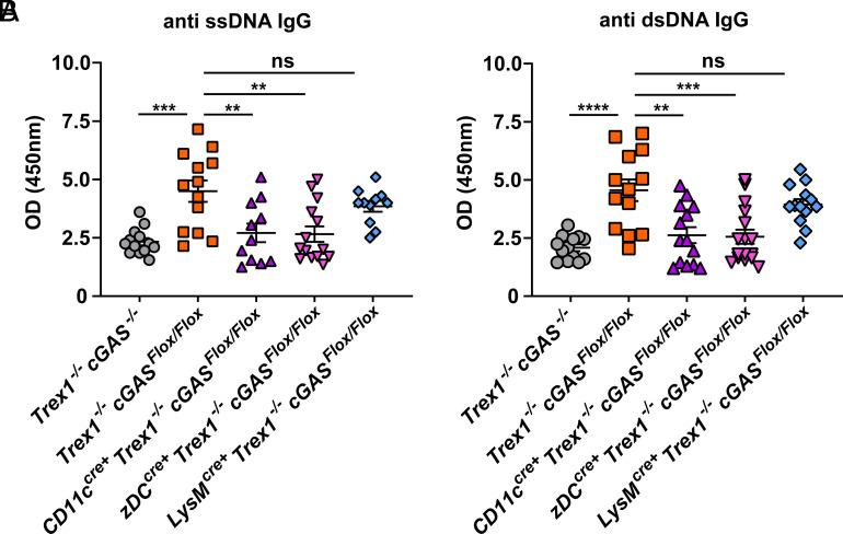 https://cdn.ncbi.nlm.nih.gov/pmc/blobs/4928/11420187/338148d580bd/pnas.2411747121fig04.jpg