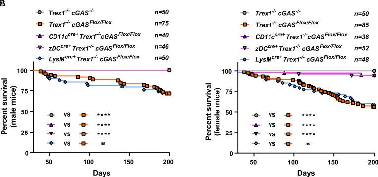 https://cdn.ncbi.nlm.nih.gov/pmc/blobs/4928/11420187/689305972dcb/pnas.2411747121fig01.jpg