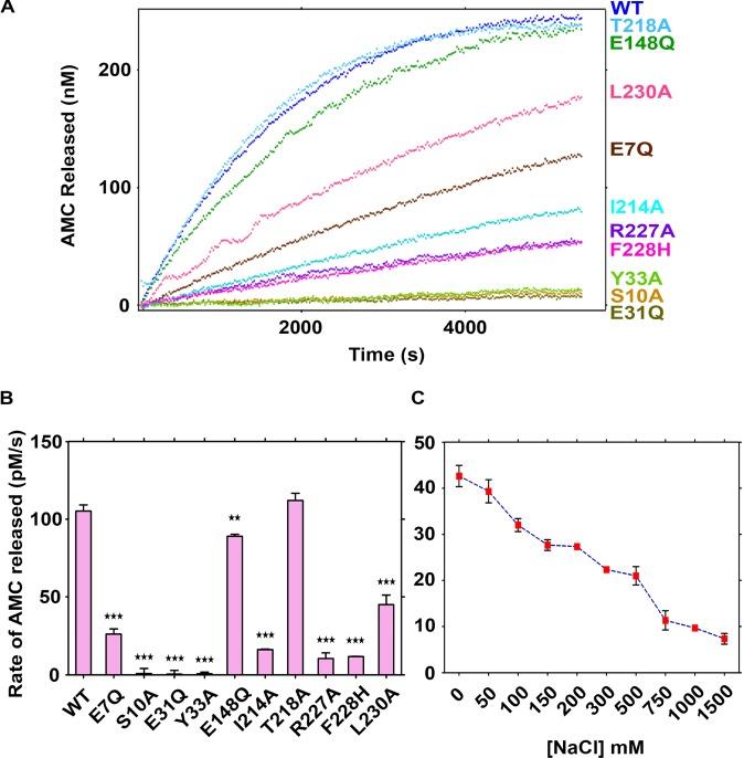 https://cdn.ncbi.nlm.nih.gov/pmc/blobs/492f/5665613/5ce196cd6176/bsr-37-bsr20171099-g2.jpg