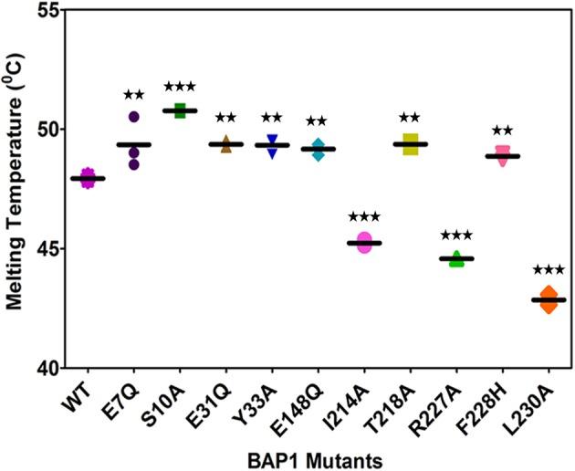 https://cdn.ncbi.nlm.nih.gov/pmc/blobs/492f/5665613/b1feaa1cdbb3/bsr-37-bsr20171099-g4.jpg