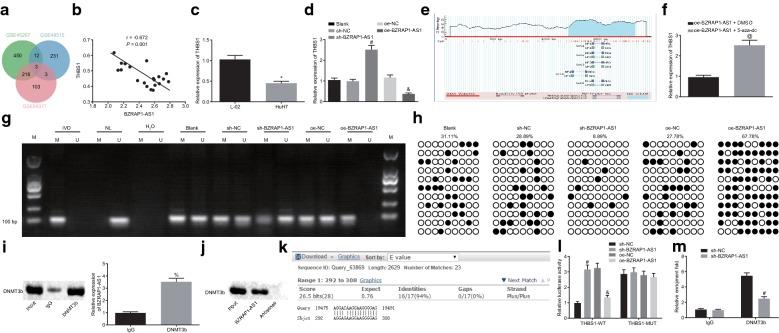https://cdn.ncbi.nlm.nih.gov/pmc/blobs/4931/6916030/5736c20ba424/12967_2019_2145_Fig3_HTML.jpg