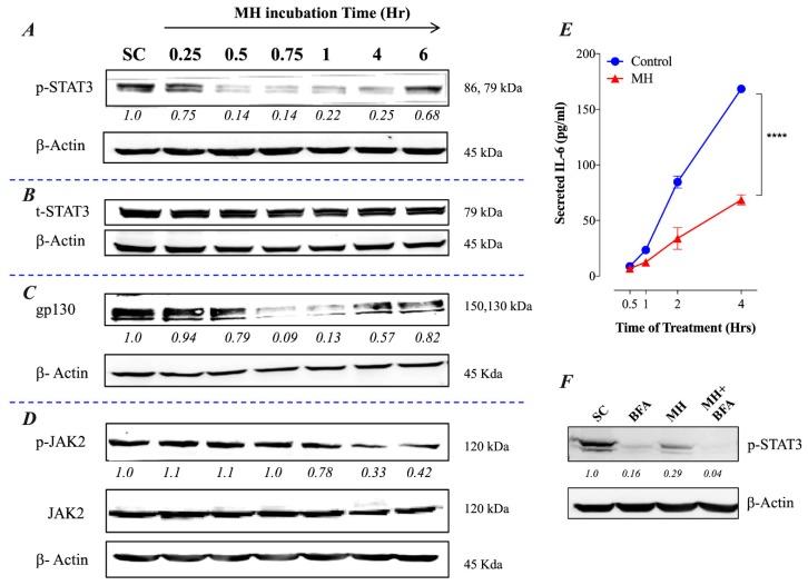 https://cdn.ncbi.nlm.nih.gov/pmc/blobs/494e/6769459/97720bfbe1d3/ijms-20-04340-g001.jpg