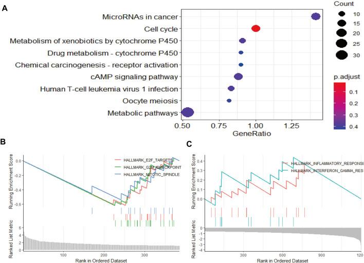 https://cdn.ncbi.nlm.nih.gov/pmc/blobs/495c/9869425/58b048a5dee6/fgene-13-989141-g005.jpg