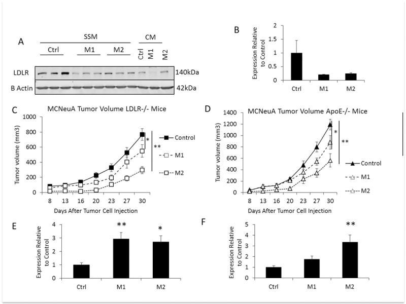 https://cdn.ncbi.nlm.nih.gov/pmc/blobs/495e/5690879/8731222791c7/nihms885963f5.jpg