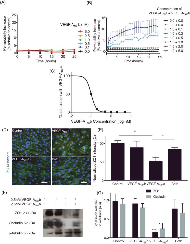 https://cdn.ncbi.nlm.nih.gov/pmc/blobs/496a/5450016/552af368266f/cs1311225fig2.jpg