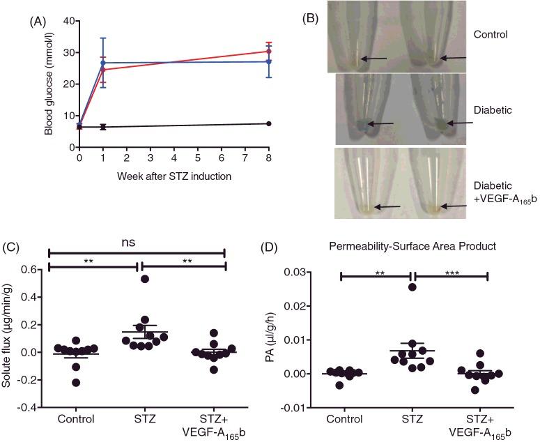 https://cdn.ncbi.nlm.nih.gov/pmc/blobs/496a/5450016/63098397016f/cs1311225fig5.jpg