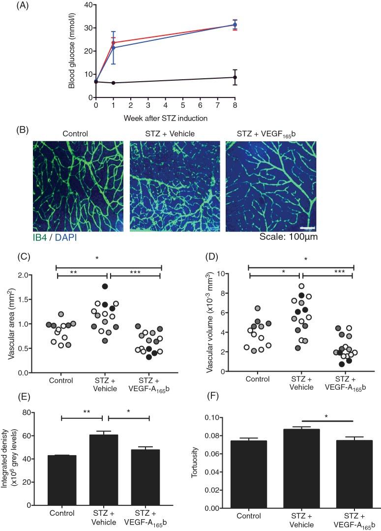 https://cdn.ncbi.nlm.nih.gov/pmc/blobs/496a/5450016/7ee0f75cfe06/cs1311225fig4.jpg