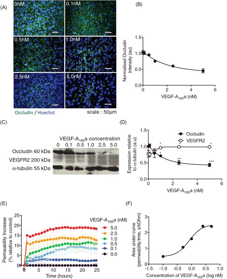 https://cdn.ncbi.nlm.nih.gov/pmc/blobs/496a/5450016/d701b2b9c01d/cs1311225fig1.jpg
