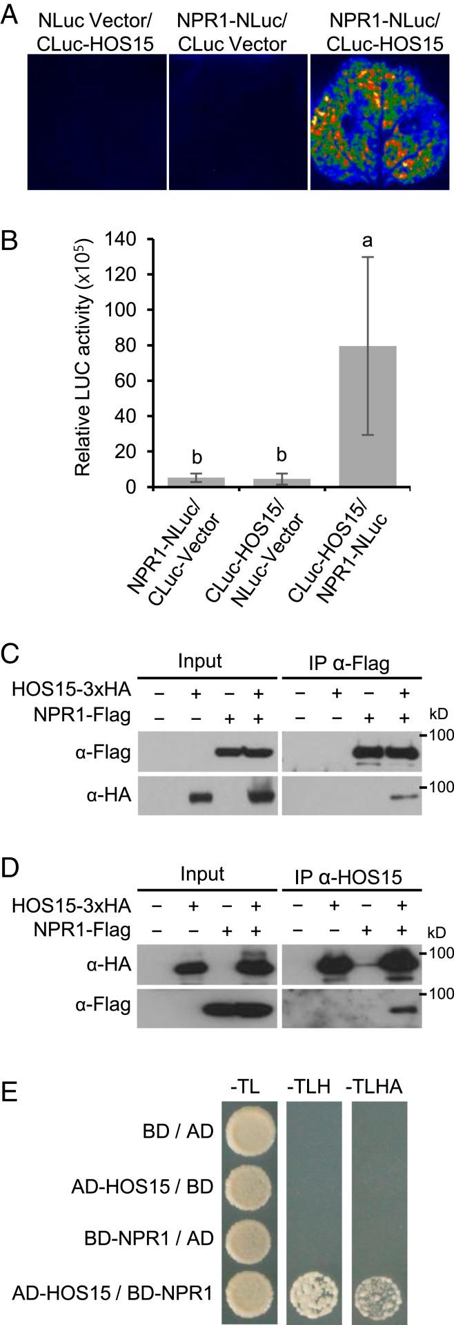 https://cdn.ncbi.nlm.nih.gov/pmc/blobs/4988/7720166/98c6a51b2809/pnas.2016049117fig02.jpg