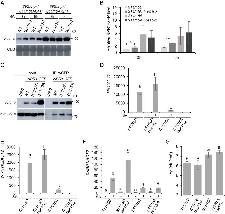 https://cdn.ncbi.nlm.nih.gov/pmc/blobs/4988/7720166/a0e758c808d3/pnas.2016049117fig04.jpg
