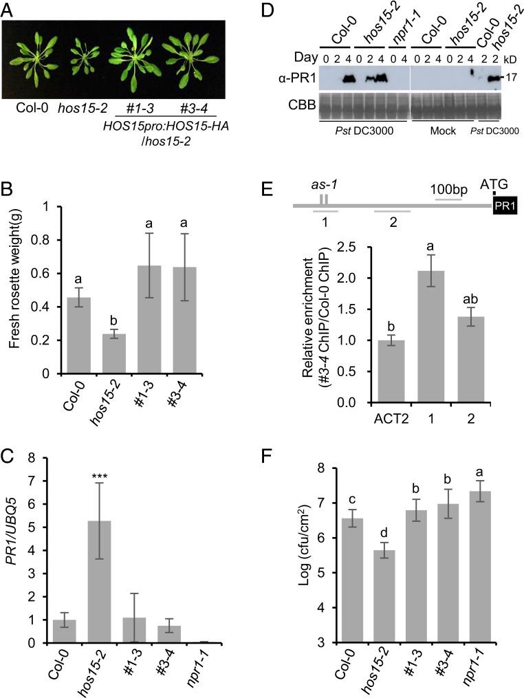 https://cdn.ncbi.nlm.nih.gov/pmc/blobs/4988/7720166/bb5471a50512/pnas.2016049117fig01.jpg