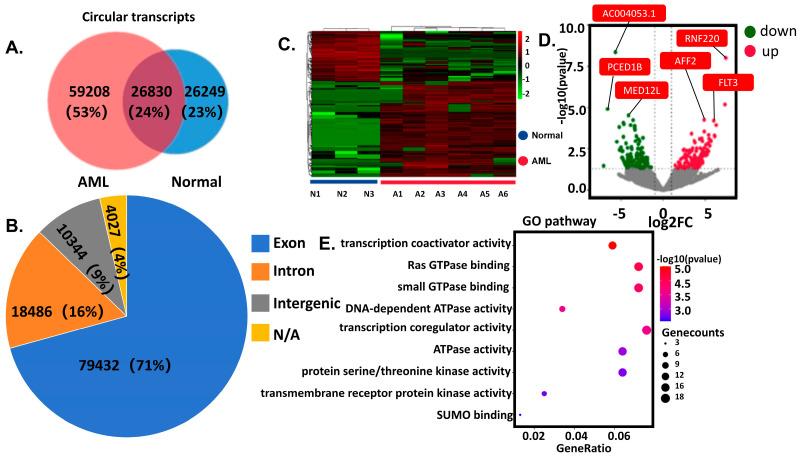 https://cdn.ncbi.nlm.nih.gov/pmc/blobs/499f/12346576/049b1fd630b7/cells-14-01181-g001.jpg