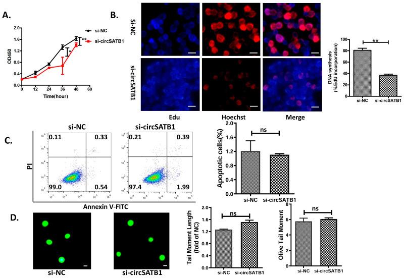 https://cdn.ncbi.nlm.nih.gov/pmc/blobs/499f/12346576/9373328bd6c3/cells-14-01181-g003.jpg