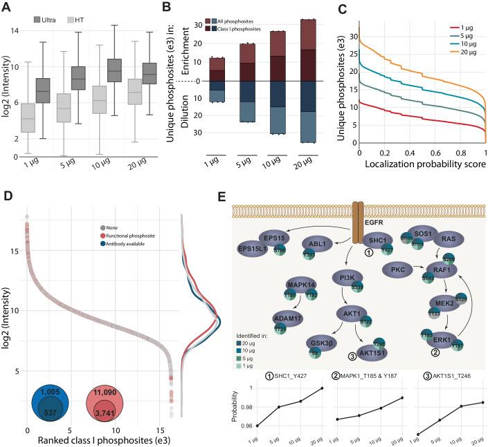 https://cdn.ncbi.nlm.nih.gov/pmc/blobs/49db/11297287/a1899fd8dc13/44320_2024_50_Fig3_HTML.jpg