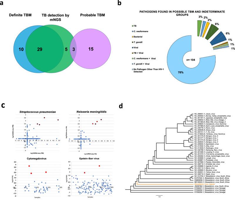 https://cdn.ncbi.nlm.nih.gov/pmc/blobs/49eb/8967864/aec66619063e/41467_2022_29353_Fig2_HTML.jpg