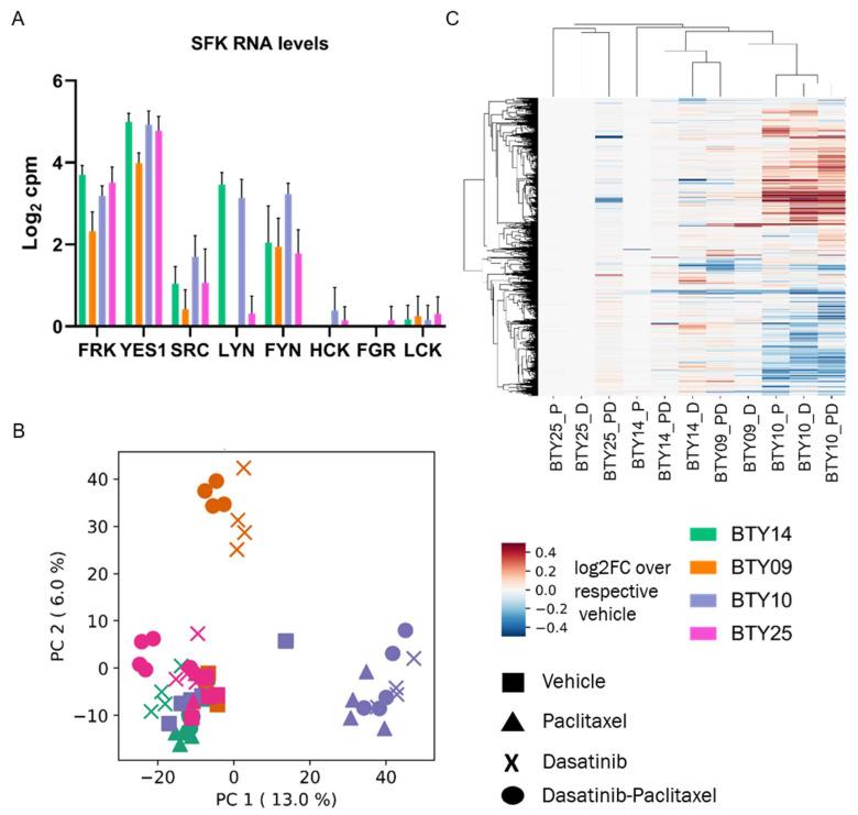 https://cdn.ncbi.nlm.nih.gov/pmc/blobs/49ef/9454481/fc7be43c562d/cancers-14-04220-g005.jpg