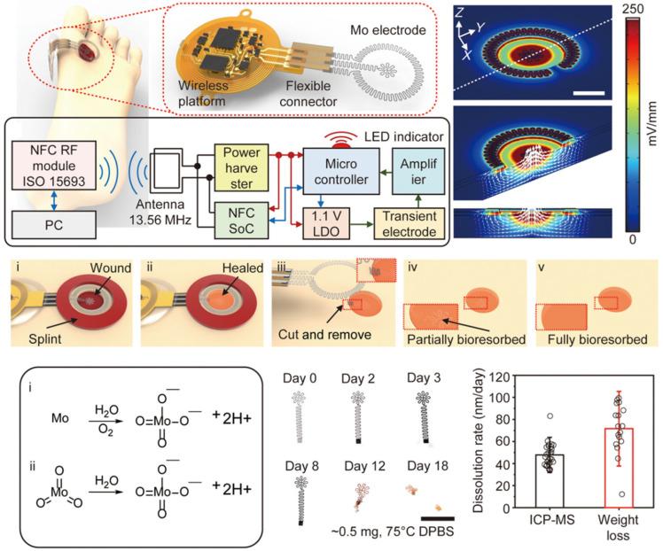 https://cdn.ncbi.nlm.nih.gov/pmc/blobs/4a01/12294109/7f3b03e3b26a/biosensors-15-00410-g003.jpg