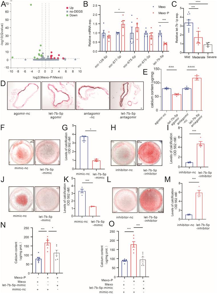 https://cdn.ncbi.nlm.nih.gov/pmc/blobs/4a0d/9818696/983082c6ad9b/cells-12-00161-g003.jpg