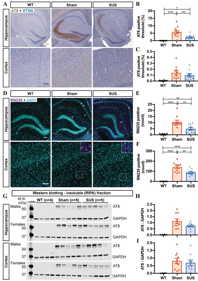 https://cdn.ncbi.nlm.nih.gov/pmc/blobs/4a3b/6587352/ca7bd2e69fa4/thnov09p3754g002.jpg