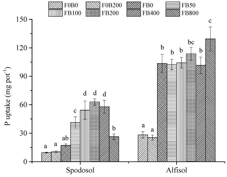 https://cdn.ncbi.nlm.nih.gov/pmc/blobs/4a46/8537598/24a0f0c01d37/nanomaterials-11-02717-g004.jpg