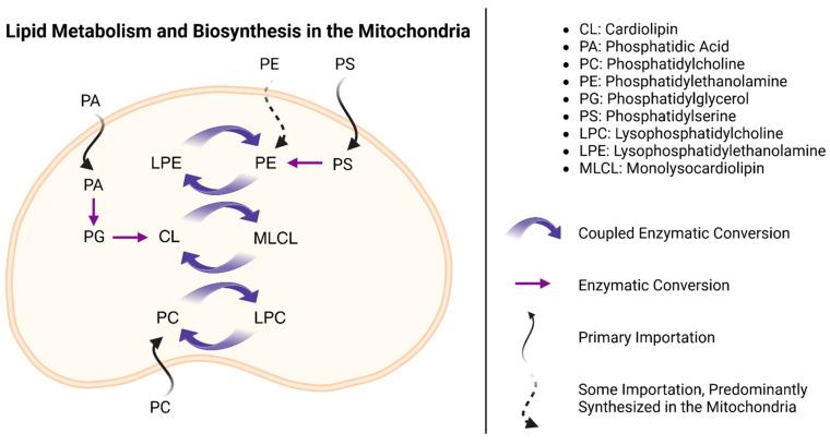 https://cdn.ncbi.nlm.nih.gov/pmc/blobs/4a5e/11083216/fcb4e3d0822f/ijms-25-04645-g002.jpg