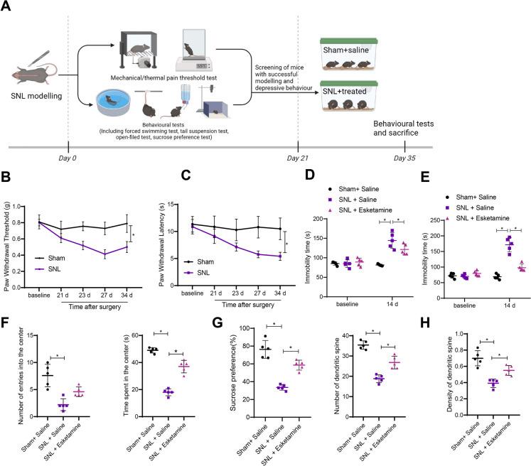 https://cdn.ncbi.nlm.nih.gov/pmc/blobs/4a6c/11775062/3f9307f74e3d/10565_2024_9975_Fig1_HTML.jpg