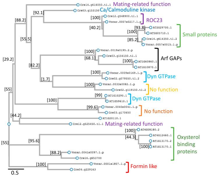 https://cdn.ncbi.nlm.nih.gov/pmc/blobs/4a6c/12430284/00c7332bac72/plants-14-02607-g002.jpg