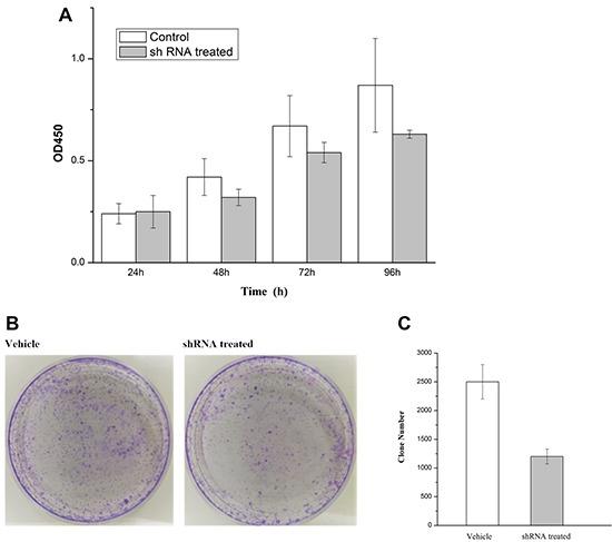https://cdn.ncbi.nlm.nih.gov/pmc/blobs/4a75/5601642/84142927fad2/oncotarget-08-58172-g009.jpg