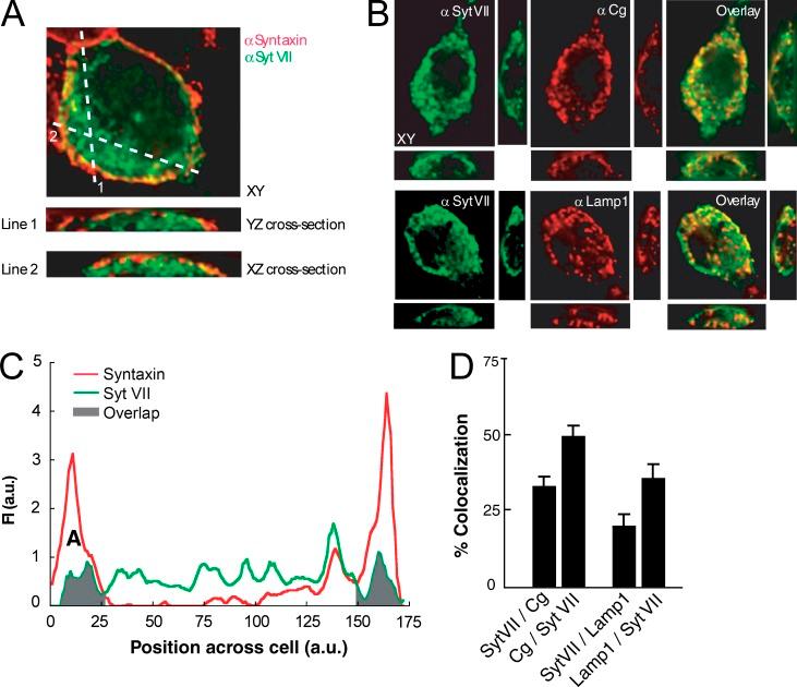 https://cdn.ncbi.nlm.nih.gov/pmc/blobs/4a80/5987875/7b86cc1cac0a/JGP_201711944_Fig2.jpg