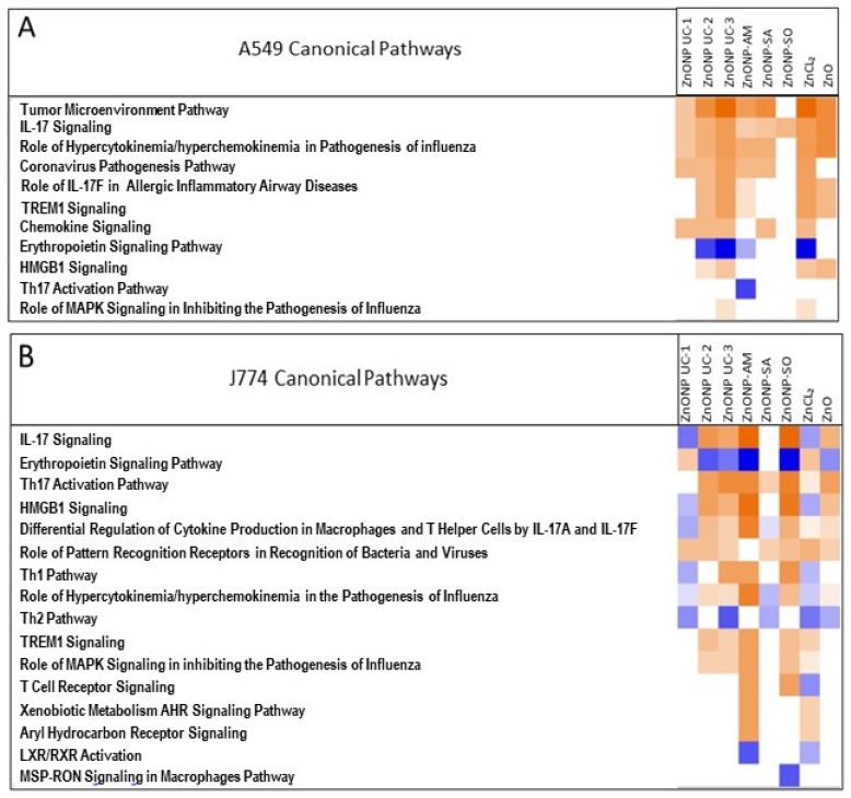 https://cdn.ncbi.nlm.nih.gov/pmc/blobs/4a8d/11482475/96fb72893cfc/nanomaterials-14-01601-g006.jpg