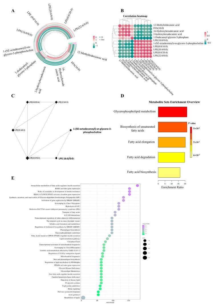 https://cdn.ncbi.nlm.nih.gov/pmc/blobs/4ab0/11597526/58281b9df1bd/pharmaceuticals-17-01509-g005.jpg