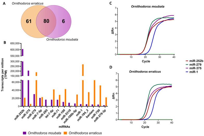 https://cdn.ncbi.nlm.nih.gov/pmc/blobs/4abc/12196249/d76dcde5702b/pathogens-14-00595-g001.jpg